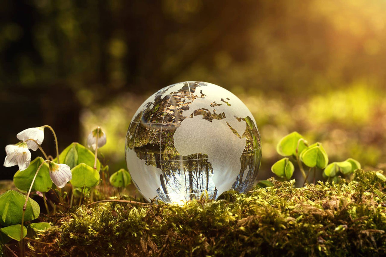 چالش‌های کلان محیط زیست و نقشه راه بقا در قرن ۲۱